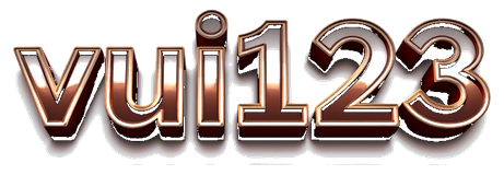 vui123 logo